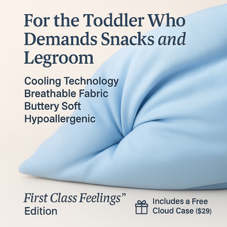 First Class Feelings (Blue Travel Pillow)