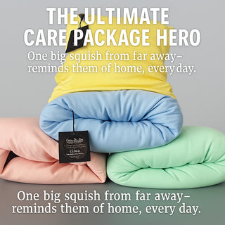 College Pillows For Dorm Rooms Claire De Lune